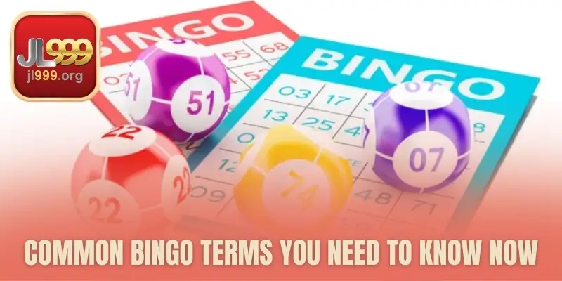 Common Bingo Terms You Need To Know Now